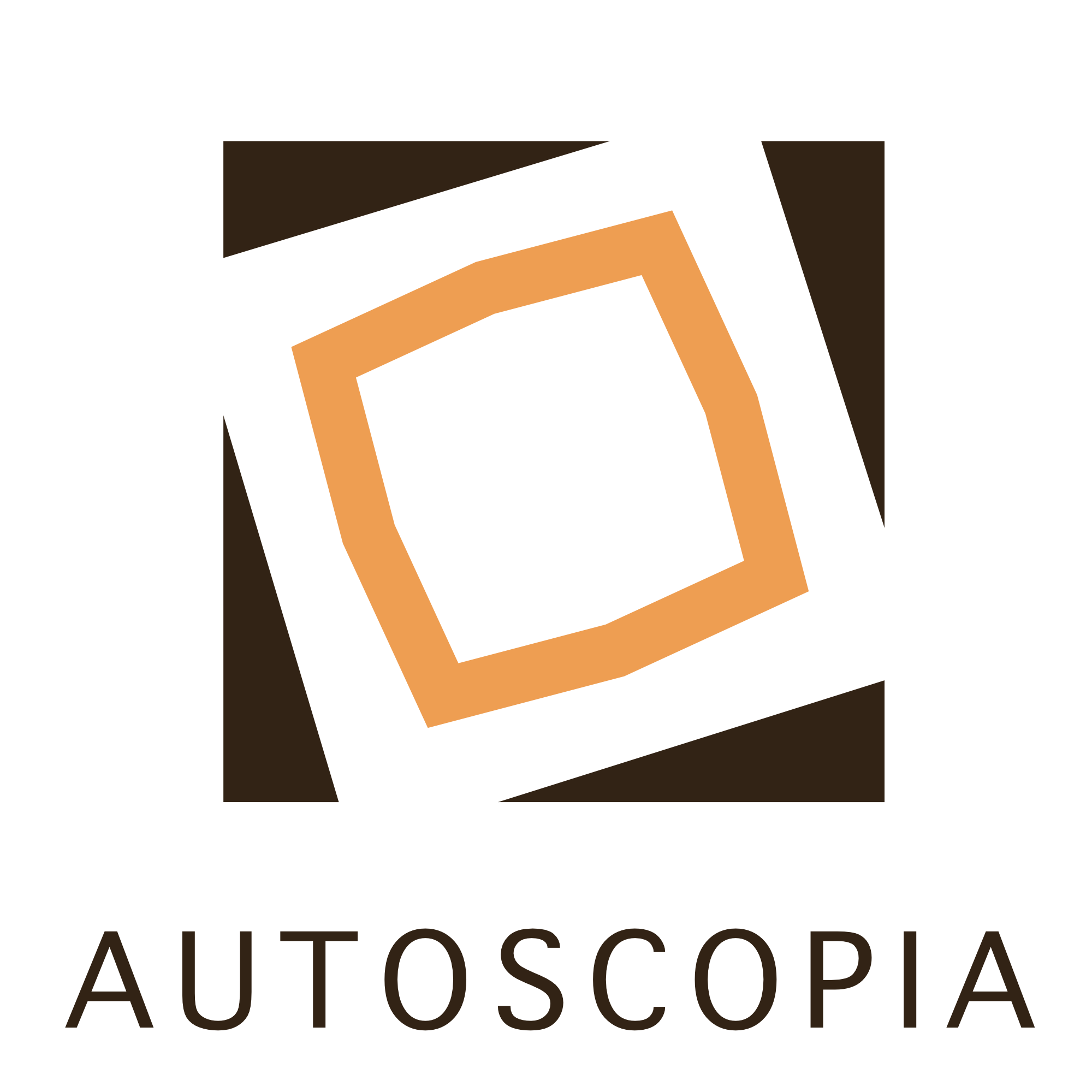 Autoscopia Interactive